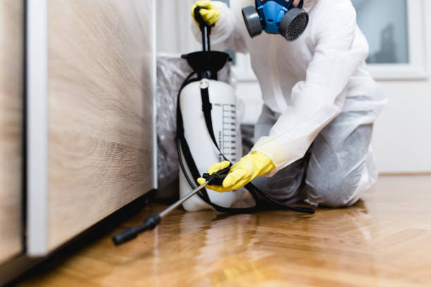 Best Pest Removal Services  in Biscayne Park, FL