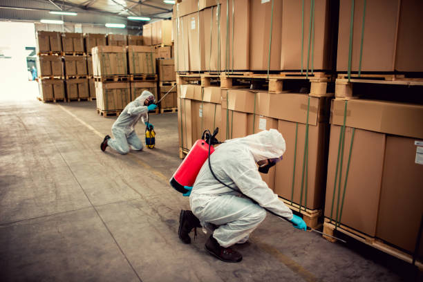 Best Flea Control Services  in Biscayne Park, FL
