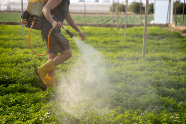 Best Pest Control Near Me in Biscayne Park, FL