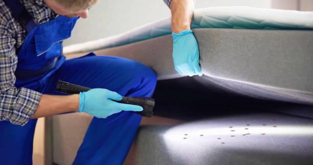 Best Local Pest Control Services  in Biscayne Park, FL