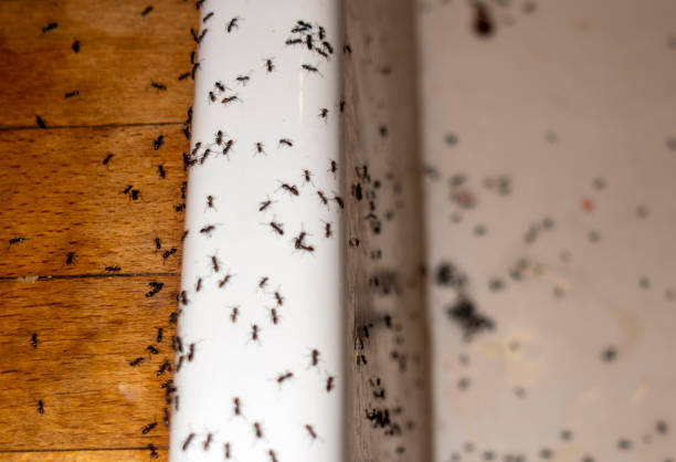 Best Wildlife Control Services  in Biscayne Park, FL