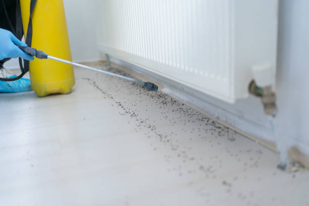 Best Rat Extermination Near Me  in Biscayne Park, FL